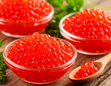 ������� ������� ����: ������ �� ������� ���������� �������� �������������