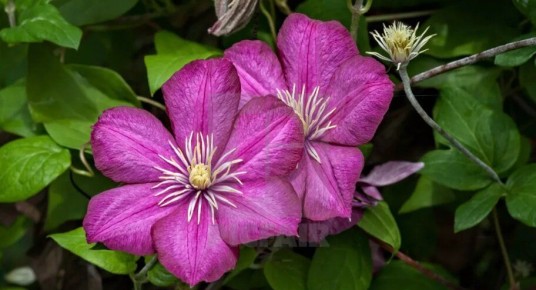 ��� ������ ��������� ���������� ��������� ��� ��������� ��������