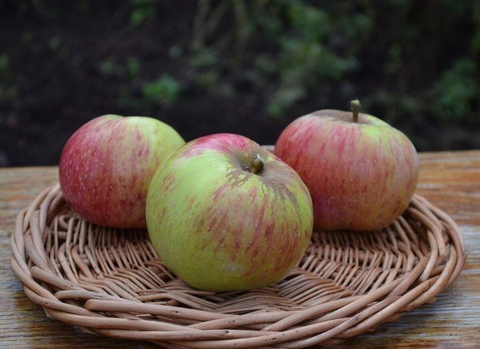 ������ �������: ������� ����, ������� �������� ������ � �������������