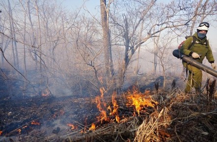 15 апреля в Приморском крае было зафиксировано 26 случаев возгораний, охвативших территорию в 855,8 гектара