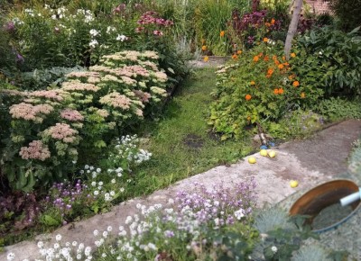 ����������� ���������� ���� ����� ����� ������ �� ����