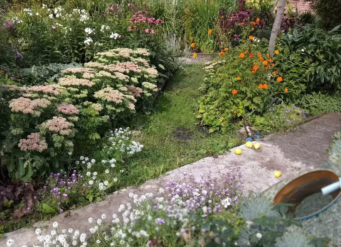 Эффективная утилизация воды после мытья посуды на даче