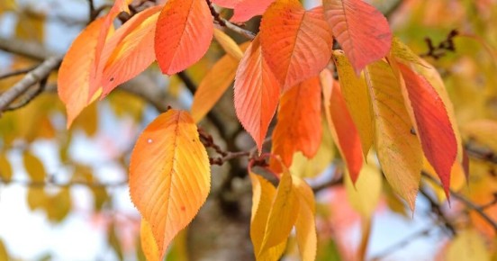 ������� �������� ������� ������� �����: ������ ��� ���������