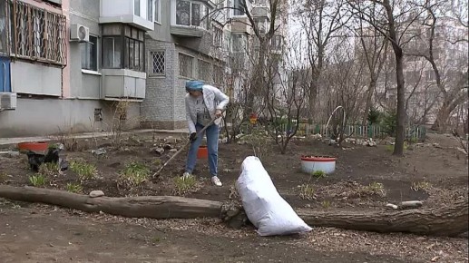 �������������� ������ ������ �� ������������ ����� �������� ��������