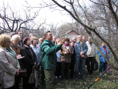 ����������� ������ ������� ����: ������� �� ���������