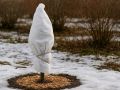 Как правильно укрыть саженцы: секреты зимней защиты