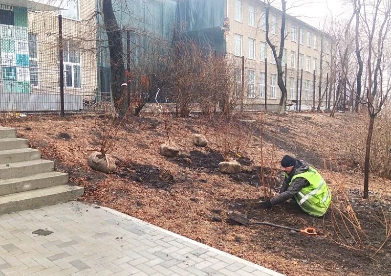 � ��������������� ������� ���������� ��������������� ������������ ������������