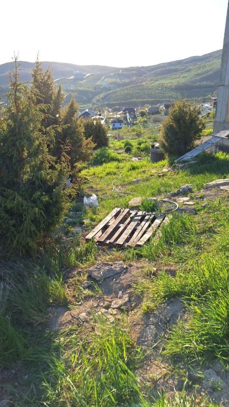 �������� � �������� � ��������: ��� ���������� ���� ������� ��� ������ ������