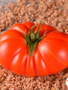 ����� ��������� �����: ������������� ���� ��� ��������� ���� � ��������� ������