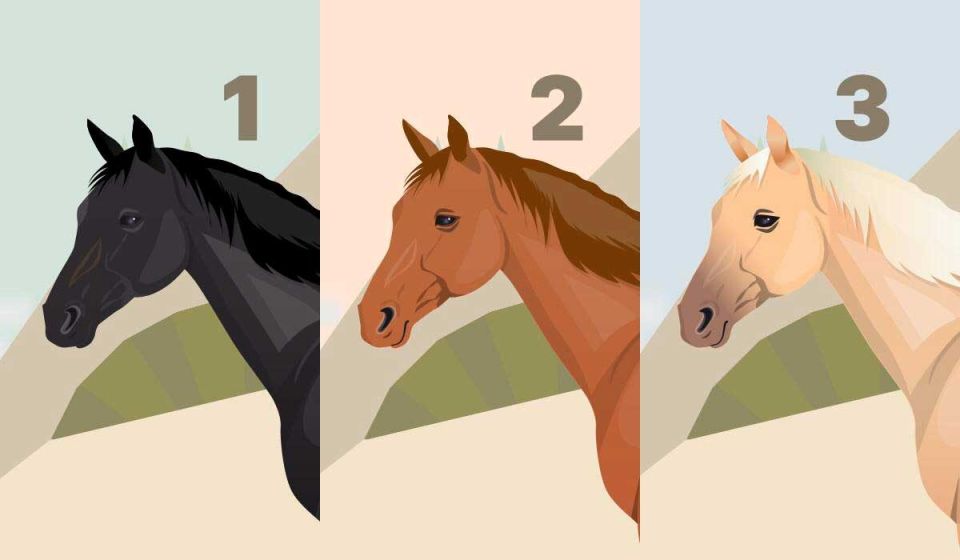 ������ �������: �������� ���� � ������� � ����� ����