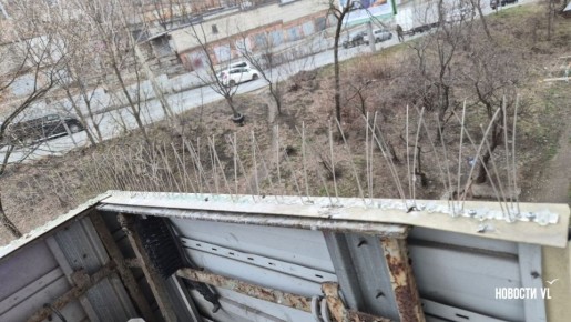 ��������, ���� � ����� �������: ��� �������������� �������� ������� �� ������� � ������ ����