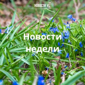 ��������� ������ �� �������� VL, ������� �� ����� ����������: