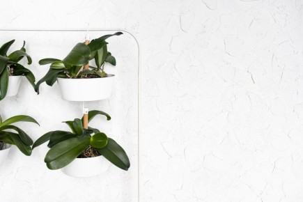 5 ������������ �������� ��� ������: �������� ������ ������� � ��� ���