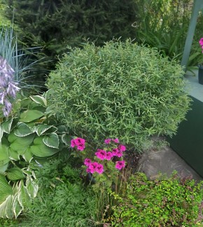 ������ ����: ��������� ������� ��� ������ ���� ���� ������