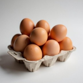 � �������� � ������ ������� ���, ��������������� ��� �������� ���������������� ����������, ���������� ������� ������� ������������������� ����������