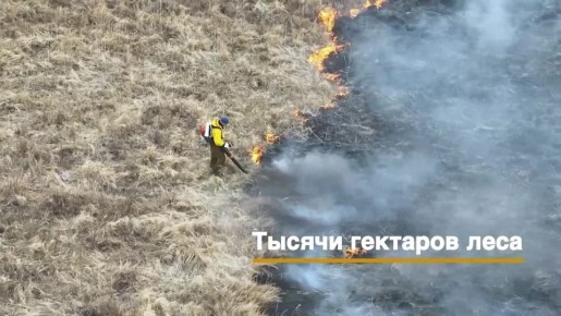 �������� ����� ����� �������� � ������