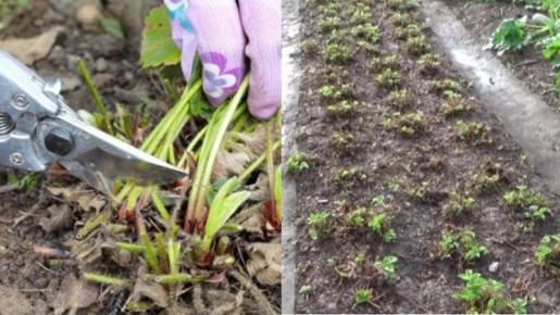 ��� ��������� ����������� ��������� � ����, ����� ��������� ������ �� 40%