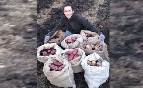 ��� ��������� ������� ��������� � ������������ ����� � ������� ���������