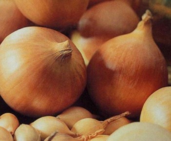 ��� �����: ������������� ���� � ���������� ������ � ������� ������������