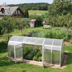 ������ ������ � �������: ��� �������� �������� � �������� ������ ������