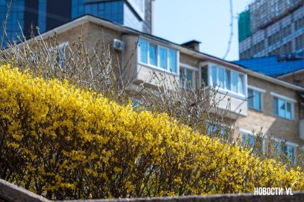 ����� ������ ����� ������������ �� ����������� ��������� ����������, ���������� � �������������