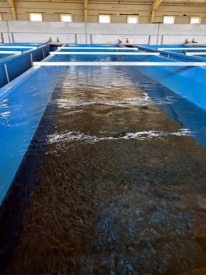 ��������� �������� �������� � ���� ����������� ����� 10,5 ����� ������� ����