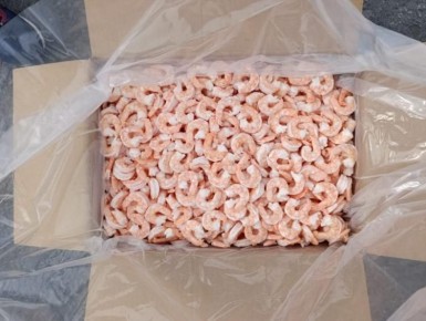 ���������� ��������������� ���������� ����������������� ������� ��������� ��� ������������ �������� ���� ������ ��������� �������� ����� ����� 51 �����