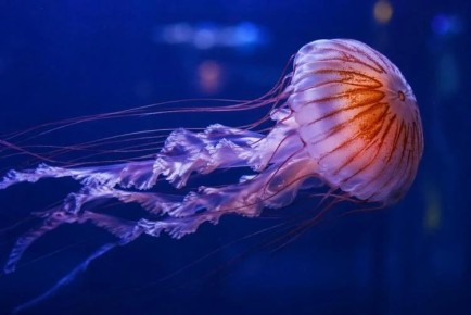 ������������ ������� ���� �� ���� ����������� � ������� ��������