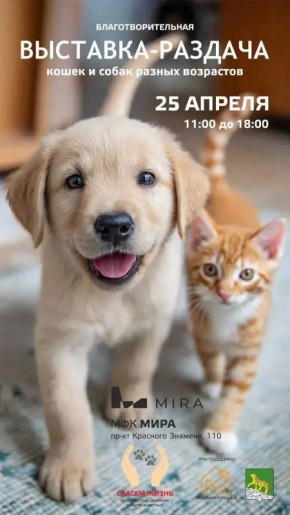 �������� ������� �������� ����� ������ �� ������������