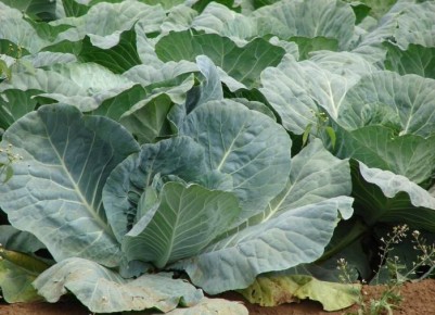 ������������ ������ � �������: ��� ���������� ������ ������