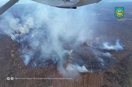 ����� ������ ���������� �������-����������� � ��������