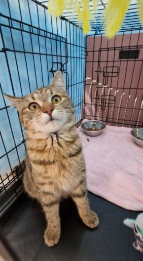 50 �������� ������ ����� ��� �� ������ ��������� ��������-������� � ��� "����"