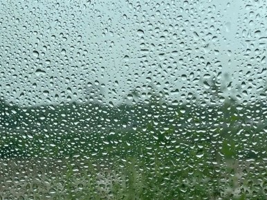 ������ �������� � �������� ����� � ����