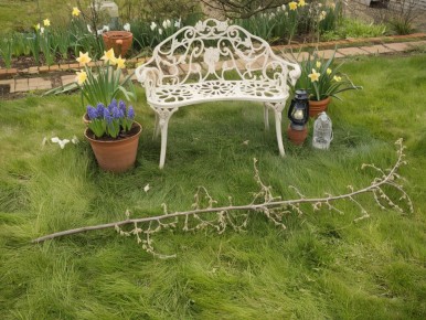 ������� ������ � ���� �����: ��� ������� ������ ��������� �����������