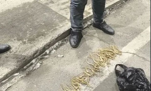 ������������ �������� �� ������������� ������ �������� � ��������