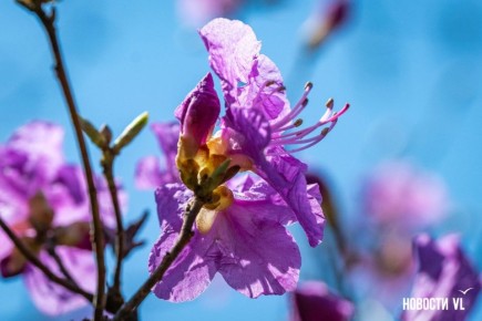 ����� ������ ������ ������������ ����� �� ��������� ������