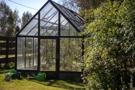 �������: ������� ��������� �������������� � ��������