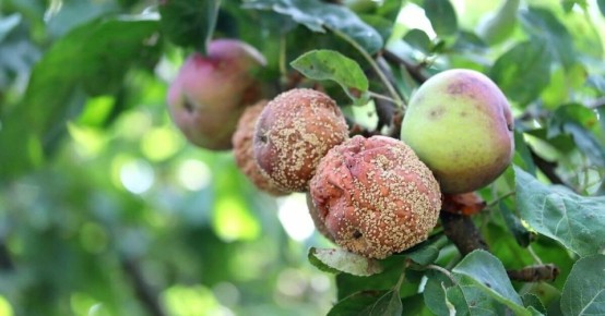 ��� �������� ��� �� ��������� ������: ������ ������������