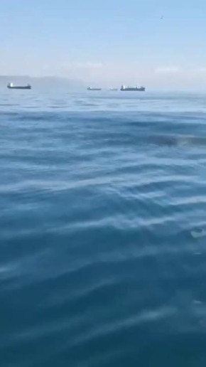 ��� ������� � ����� � ������������ � ������� ���