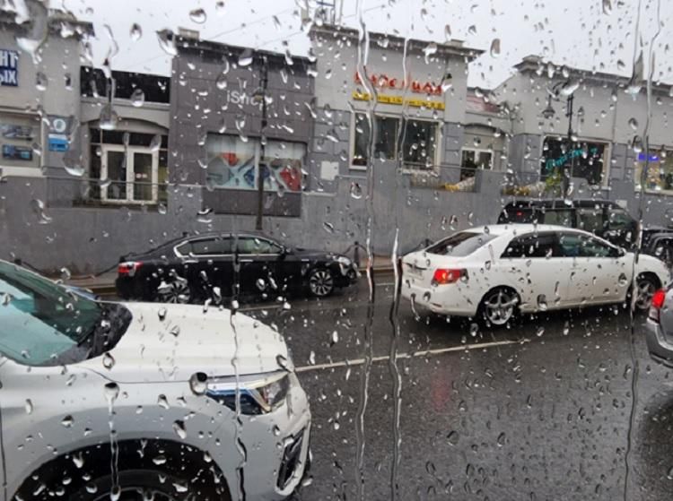 ����� ������� �������� � ����� - �������