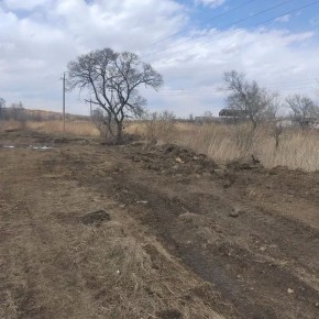 ������ �� ��������� ������������ ������� ������� � ����������