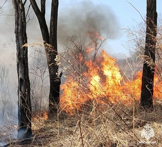 � ������ � 30 ������ �� 3 ��� � ��������� ������ �������������� ������� ����� �������� ���������