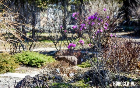 ������ ����, �����������. ���� ���������� ����������