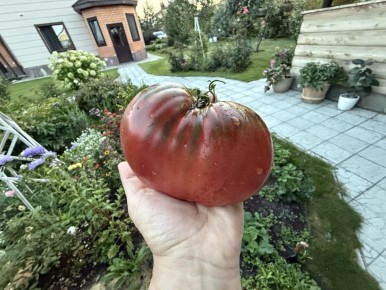 ��������� �� ��������� �� ����: ������� ������� ��� ��������� ��������