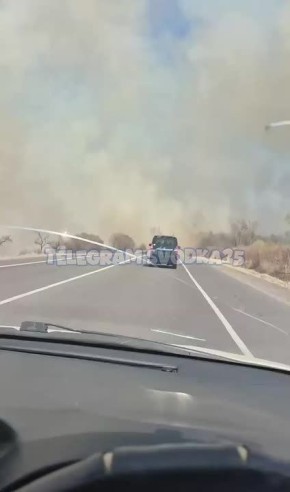 � ���� ���������������� ����� ������ � ������������ ������: ����� ������ ������� ����������� ���������� � �������� ���������