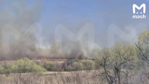 ��� ������ �������� ����� ������ ������� � ������������ ������