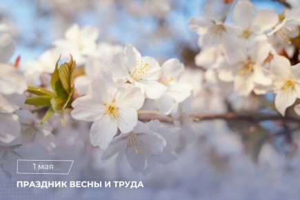 ������������ ������������ �� ������ �.�. ���������� � ���������� ����� � �����