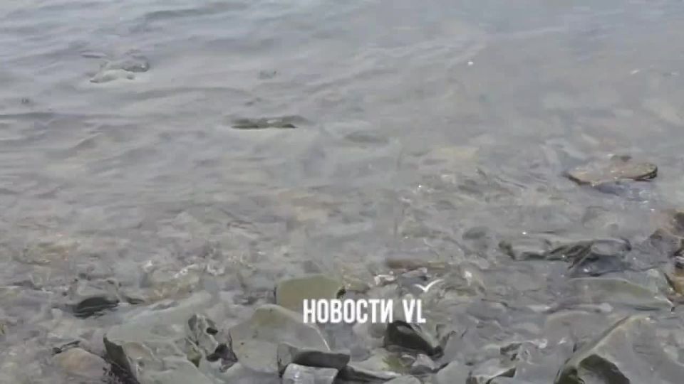 � ����� ������ �� ������������ �������� ����� �������������� � ����
