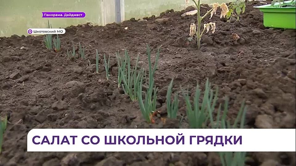 ������ �� ���� ����������� ������ ���������� � ����������