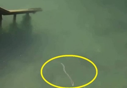 "��������� ������", ��������� ����, �������� � ������� ������������ �� ����...